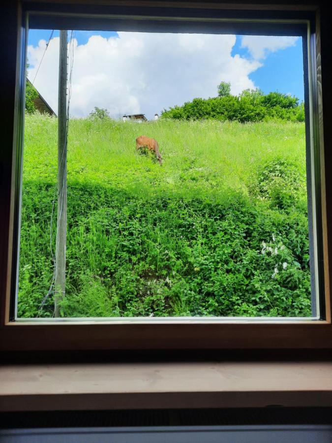 Aparthotel Ama Dolomiti Vigo di Cadore Esterno foto